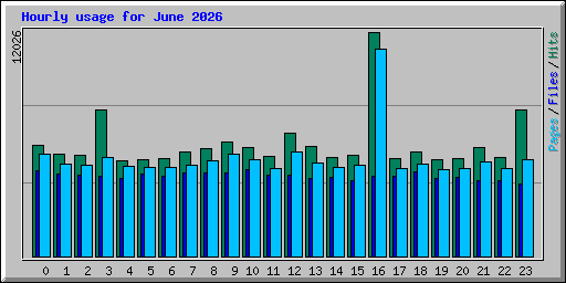 Hourly usage for June 2026