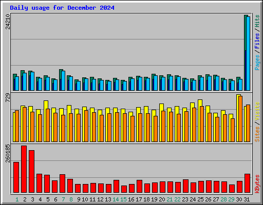 Daily usage for December 2024