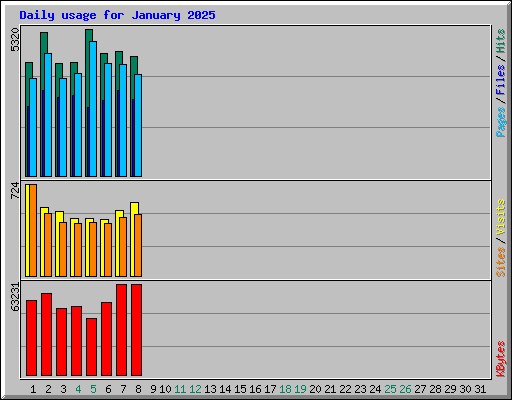 Daily usage for January 2025