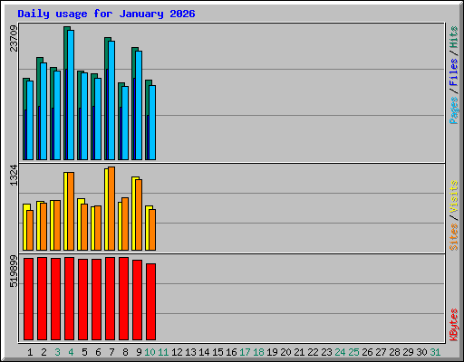 Daily usage for January 2026