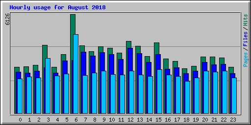 Hourly usage for August 2018