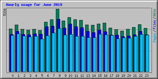 Hourly usage for June 2019