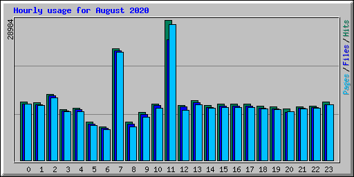 Hourly usage for August 2020