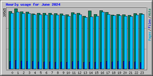 Hourly usage for June 2024