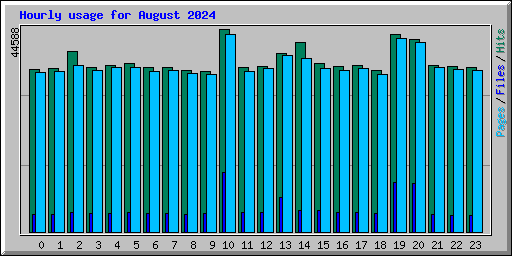 Hourly usage for August 2024