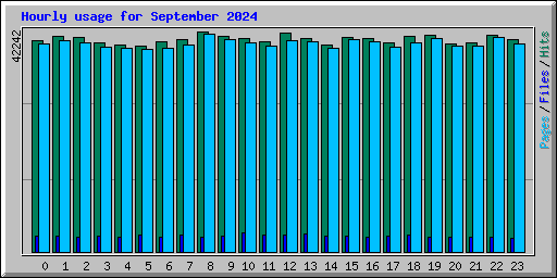 Hourly usage for September 2024