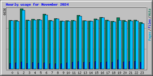 Hourly usage for November 2024