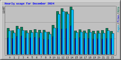 Hourly usage for December 2024