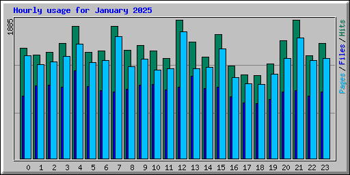 Hourly usage for January 2025