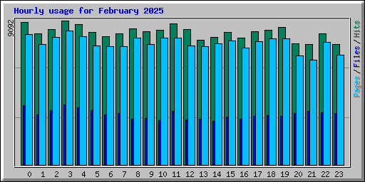 Hourly usage for February 2025