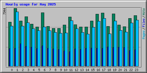 Hourly usage for May 2025