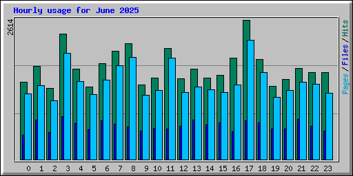 Hourly usage for June 2025
