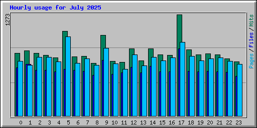Hourly usage for July 2025