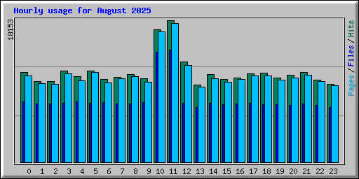 Hourly usage for August 2025