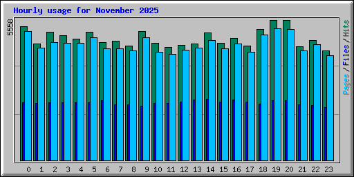 Hourly usage for November 2025