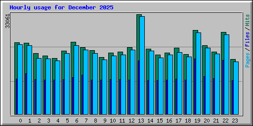 Hourly usage for December 2025