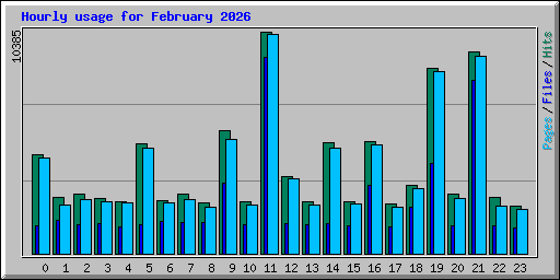 Hourly usage for February 2026